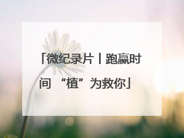 微纪录片丨跑赢时间 “植”为救你